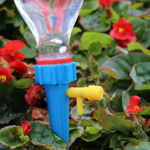 Plant Water Funnel