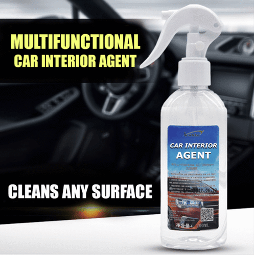 Multi-functional Car Interior Agent