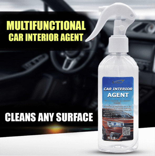 Multi-functional Car Interior Agent
